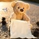 Інтерактивна іграшка Ведмедик Пікабу Peekaboo Bear pr6544458865 фото 4